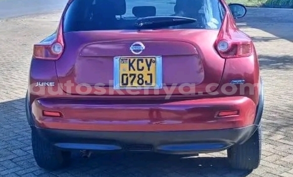 Buy Used Nissan Juke Red Car in Bute in Northeast Kenya Buy Used Nissan Juke Red Car in Bute in Northeast Kenya
