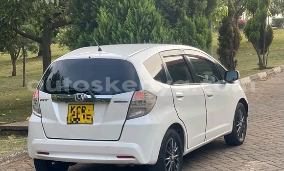 Buy Used Honda Fit White Car in Bute in Northeast Kenya Buy Used Honda Fit White Car in Bute in Northeast Kenya