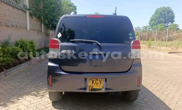 Buy Used Toyota Spade Other Car in Bute in Northeast Kenya