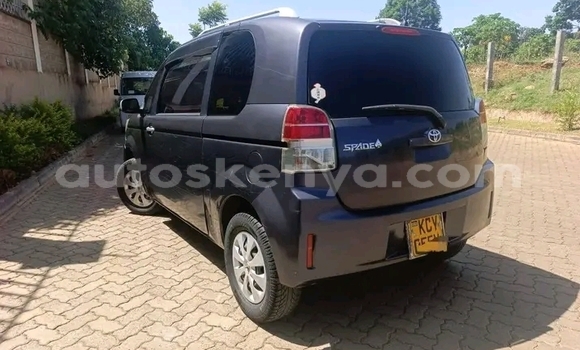 Buy Used Toyota Spade Other Car in Bute in Northeast Kenya Buy Used Toyota Spade Other Car in Bute in Northeast Kenya