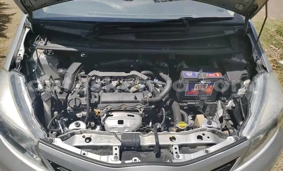 Buy Used Toyota Vitz Other Car in Hola in Coastal Kenya Buy Used Toyota Vitz Other Car in Hola in Coastal Kenya