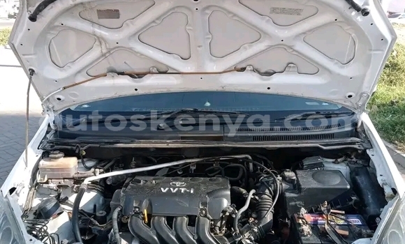 Buy Used Toyota Spacio White Car in Gazi in Coast Buy Used Toyota Spacio White Car in Gazi in Coast