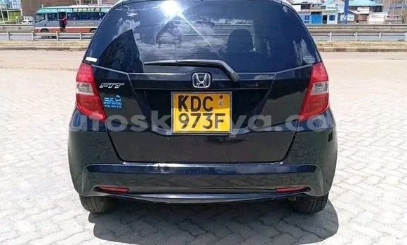 Oofamaa Honda Fit Black Makiinaa iti Garsen keessatti Coast keessatti Oofamaa Honda Fit Black Makiinaa iti Garsen keessatti Coast keessatti