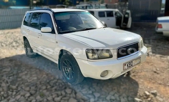 Buy Used Subaru Forester White Car in Bute in Northeast Kenya Buy Used Subaru Forester White Car in Bute in Northeast Kenya