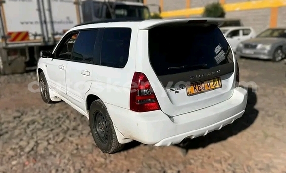 Buy Used Subaru Forester White Car in Bute in Northeast Kenya Buy Used Subaru Forester White Car in Bute in Northeast Kenya