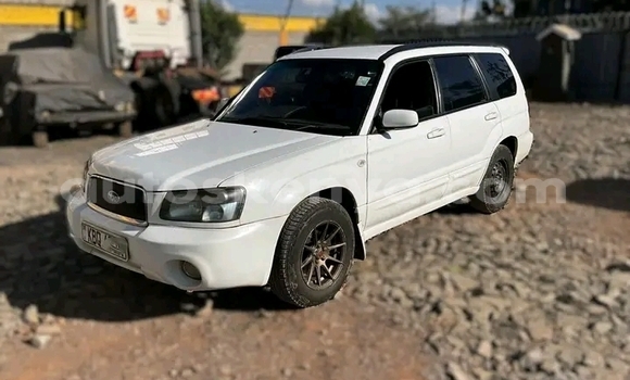 Buy Used Subaru Forester White Car in Bute in Northeast Kenya Buy Used Subaru Forester White Car in Bute in Northeast Kenya