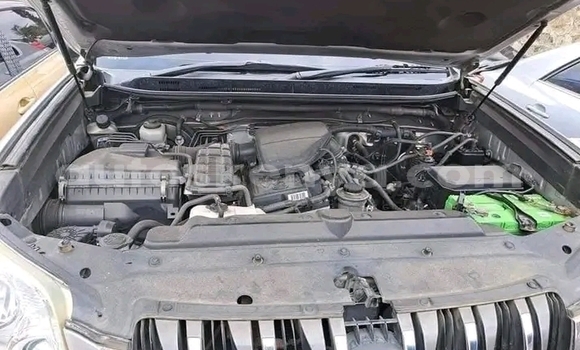 Buy Used Toyota Prado Other Car in El Wak in Northeast Kenya Buy Used Toyota Prado Other Car in El Wak in Northeast Kenya