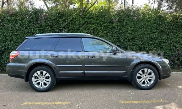 Buy Used Subaru Outback Other Car in Bute in Northeast Kenya Buy Used Subaru Outback Other Car in Bute in Northeast Kenya