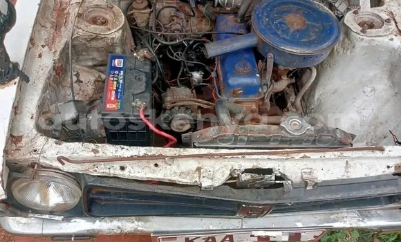 Buy Used Nissan Datsun White Car in Bute in Northeast Kenya Buy Used Nissan Datsun White Car in Bute in Northeast Kenya