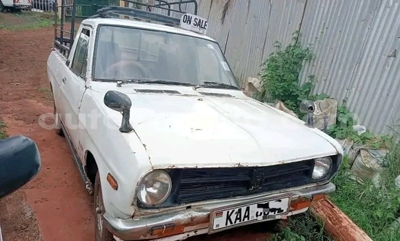 Buy Used Nissan Datsun White Car in Bute in Northeast Kenya Buy Used Nissan Datsun White Car in Bute in Northeast Kenya