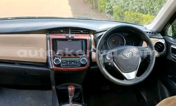 Buy Used Toyota Axio Black Car in Bute in Northeast Kenya Buy Used Toyota Axio Black Car in Bute in Northeast Kenya