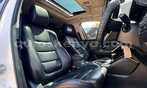 Buy Used Audi SQ5 Blue Car in Hola in Coastal Kenya Buy Used Audi SQ5 Blue Car in Hola in Coastal Kenya