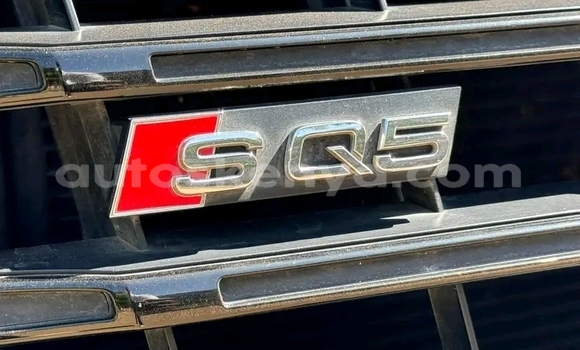 Buy Used Audi SQ5 Blue Car in Hola in Coastal Kenya Buy Used Audi SQ5 Blue Car in Hola in Coastal Kenya