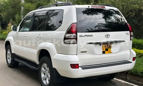 Buy Used Toyota Land Cruiser Prado White Car in Bute in Northeast Kenya Buy Used Toyota Land Cruiser Prado White Car in Bute in Northeast Kenya