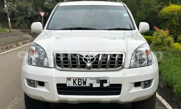Buy Used Toyota Land Cruiser Prado White Car in Bute in Northeast Kenya Buy Used Toyota Land Cruiser Prado White Car in Bute in Northeast Kenya