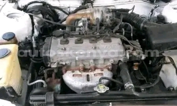 Buy Used Toyota Corolla Other Car in Bute in Northeast Kenya Buy Used Toyota Corolla Other Car in Bute in Northeast Kenya