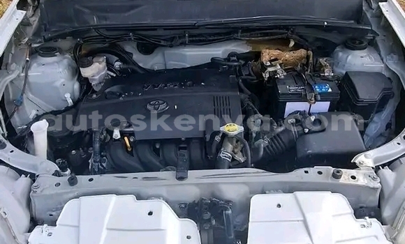 Buy Used Toyota Probox White Car in Changamwe in Coast Buy Used Toyota Probox White Car in Changamwe in Coast