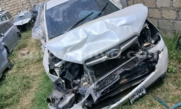 Buy Used Subaru Forester White Car in Griftu in Northeast Kenya Buy Used Subaru Forester White Car in Griftu in Northeast Kenya