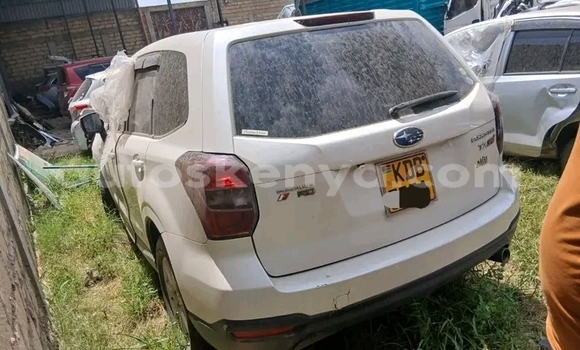 Buy Used Subaru Forester White Car in Griftu in Northeast Kenya Buy Used Subaru Forester White Car in Griftu in Northeast Kenya