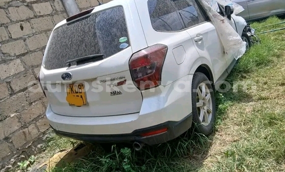 Buy Used Subaru Forester White Car in Griftu in Northeast Kenya Buy Used Subaru Forester White Car in Griftu in Northeast Kenya