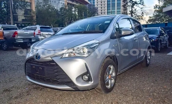 Buy Used Toyota Vitz White Car in Changamwe in Coast Buy Used Toyota Vitz White Car in Changamwe in Coast