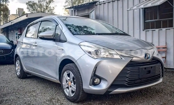 Buy Used Toyota Vitz White Car in Changamwe in Coast Buy Used Toyota Vitz White Car in Changamwe in Coast
