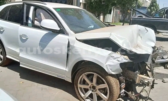 Buy Used Audi Q5 White Car in Busia in West Kenya Buy Used Audi Q5 White Car in Busia in West Kenya