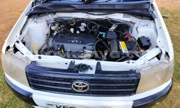 Buy Used Toyota Probox White Car in Garsen in Coast Buy Used Toyota Probox White Car in Garsen in Coast