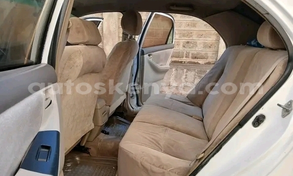 Oofamaa Toyota Nadia White Makiinaa iti Bute keessatti Northeast Kenya keessatti