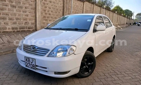 Buy Used Toyota Nadia White Car in Bute in Northeast Kenya Buy Used Toyota Nadia White Car in Bute in Northeast Kenya