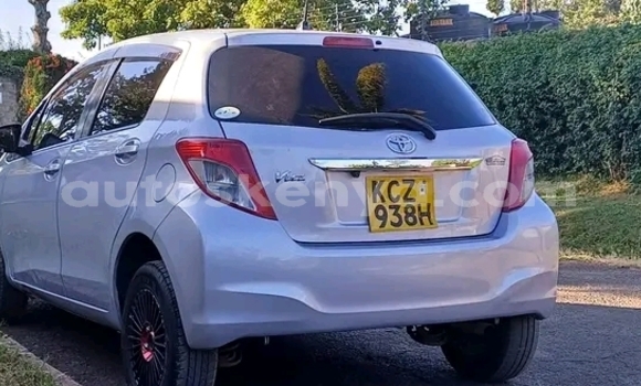 Buy Used Toyota Vitz White Car in Bute in Northeast Kenya Buy Used Toyota Vitz White Car in Bute in Northeast Kenya