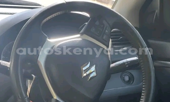 Buy Used Suzuki Swift Silver Car in Habaswein in Northeast Kenya Buy Used Suzuki Swift Silver Car in Habaswein in Northeast Kenya