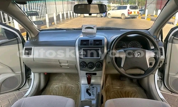 Buy Used Toyota Corolla White Car in Bute in Northeast Kenya