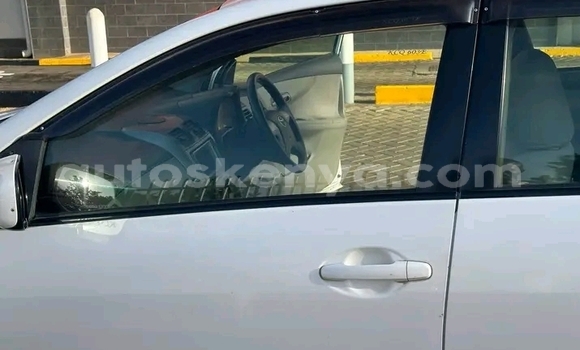 Buy Used Toyota Corolla White Car in Bute in Northeast Kenya Buy Used Toyota Corolla White Car in Bute in Northeast Kenya