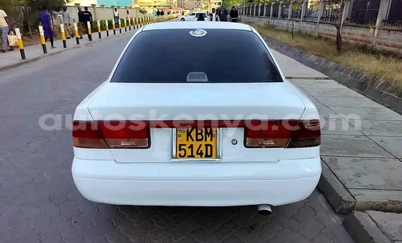 Buy Used Nissan BE-1 White Car in Bute in Northeast Kenya Buy Used Nissan BE-1 White Car in Bute in Northeast Kenya