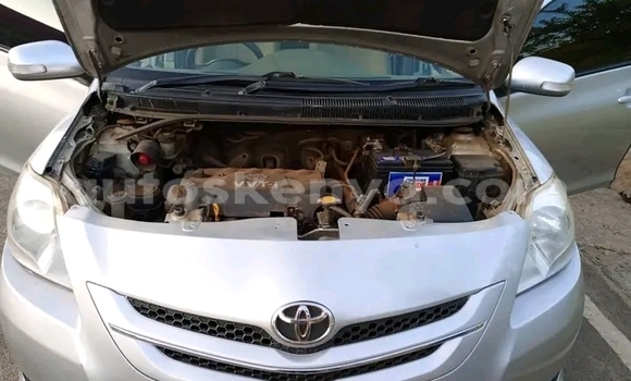 Buy Used Toyota Belta Other Car in Bute in Northeast Kenya Buy Used Toyota Belta Other Car in Bute in Northeast Kenya