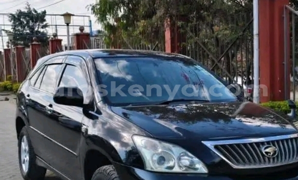 Buy Used Toyota Harrier Other Car in Bute in Northeast Kenya Buy Used Toyota Harrier Other Car in Bute in Northeast Kenya