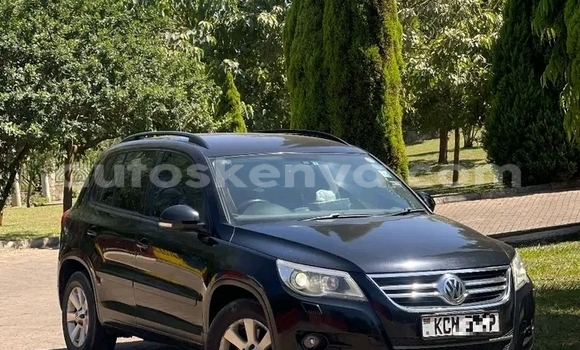 Buy Used Volkswagen Tiguan Black Car in Bute in Northeast Kenya Buy Used Volkswagen Tiguan Black Car in Bute in Northeast Kenya