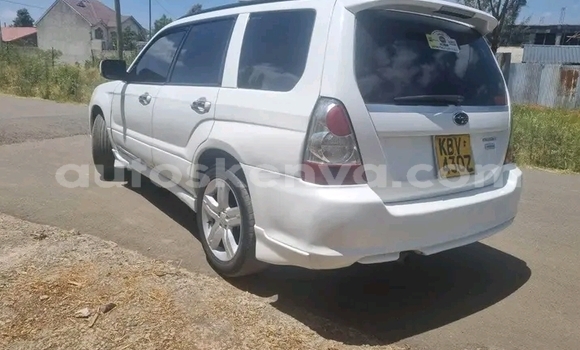 Buy Used Subaru Forester White Car in Bute in Northeast Kenya Buy Used Subaru Forester White Car in Bute in Northeast Kenya