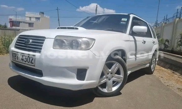Buy Used Subaru Forester White Car in Bute in Northeast Kenya Buy Used Subaru Forester White Car in Bute in Northeast Kenya