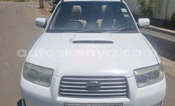 Buy Used Subaru Forester White Car in Bute in Northeast Kenya Buy Used Subaru Forester White Car in Bute in Northeast Kenya