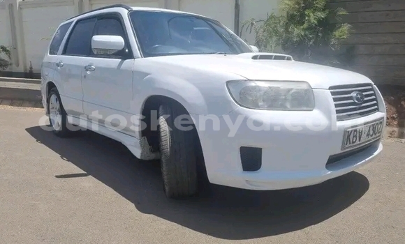 Buy Used Subaru Forester White Car in Bute in Northeast Kenya Buy Used Subaru Forester White Car in Bute in Northeast Kenya