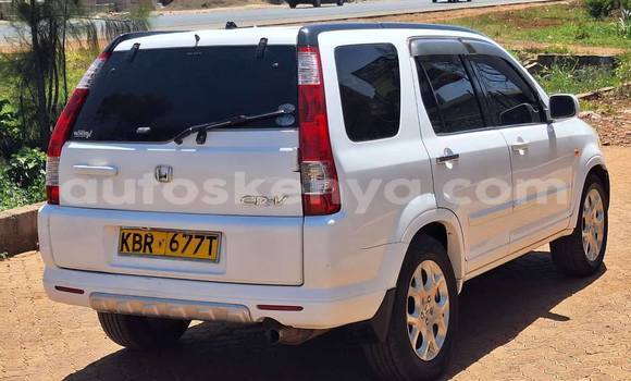 Oofamaa Honda CRโV White Makiinaa iti Nairobi keessatti Nairobi keessatti Oofamaa Honda CRโV White Makiinaa iti Nairobi keessatti Nairobi keessatti