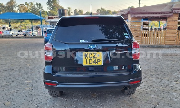 Oofamaa Subaru Forester Black Makiinaa iti Busia keessatti West Kenya keessatti Oofamaa Subaru Forester Black Makiinaa iti Busia keessatti West Kenya keessatti