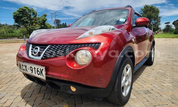 Oofamaa Nissan Juke Red Makiinaa iti Nairobi keessatti Nairobi keessatti Oofamaa Nissan Juke Red Makiinaa iti Nairobi keessatti Nairobi keessatti