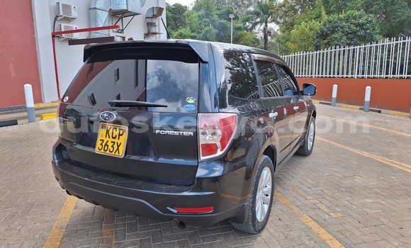Oofamaa Subaru Forester Black Makiinaa iti Changamwe keessatti Coast keessatti Oofamaa Subaru Forester Black Makiinaa iti Changamwe keessatti Coast keessatti