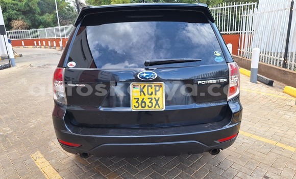 Oofamaa Subaru Forester Black Makiinaa iti Changamwe keessatti Coast keessatti Oofamaa Subaru Forester Black Makiinaa iti Changamwe keessatti Coast keessatti