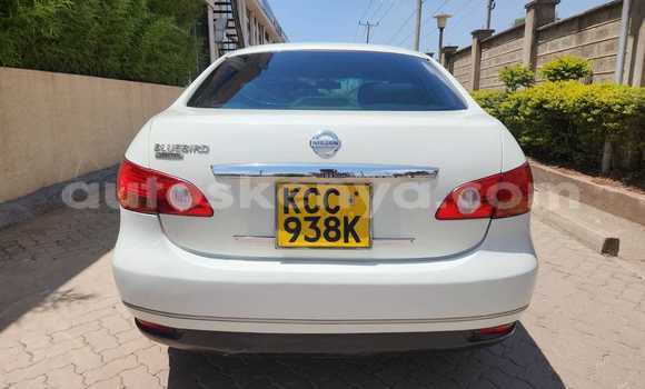 Nunua Ilio tumika Nissan Sylphy Nyeupe Gari ndani ya Nairobi nchini Nairobi Nunua Ilio tumika Nissan Sylphy Nyeupe Gari ndani ya Nairobi nchini Nairobi