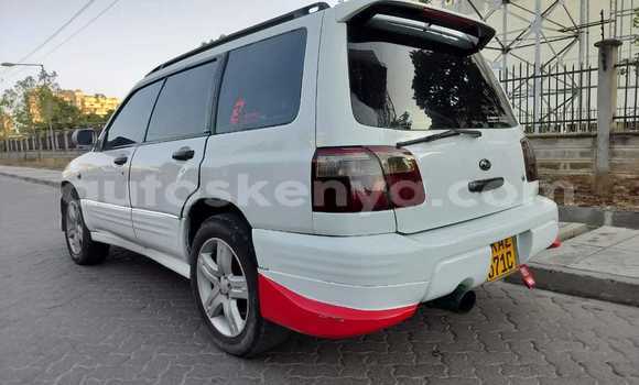 Nunua Ilio tumika Subaru Forester Nyeupe Gari ndani ya Nairobi nchini Nairobi Nunua Ilio tumika Subaru Forester Nyeupe Gari ndani ya Nairobi nchini Nairobi