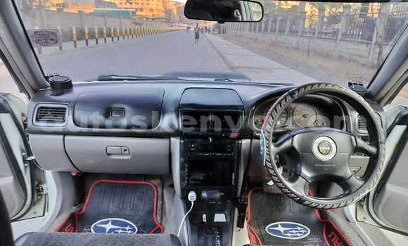 Nunua Ilio tumika Subaru Forester Nyeupe Gari ndani ya Nairobi nchini Nairobi Nunua Ilio tumika Subaru Forester Nyeupe Gari ndani ya Nairobi nchini Nairobi